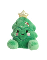 Palm Pal - 13cm Jubilee Tree