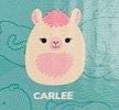 CARLEE - Series 12 Opened Capsule- SQUISHVILLE  - Mystery Mini Plush