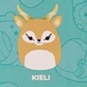 KIELI - Series 12 Opened Capsule- SQUISHVILLE - Mystery Mini Plush