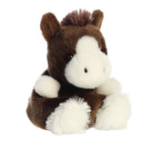 Palm Pal - 13cm Darius Clydesale
