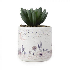 Me to You - ARTIFICIAL SUCCULENT