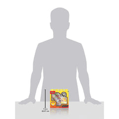 Pokémon TCG: Pokémon Day 2026 Collection