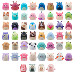 Squish-A-Longs By Squishmallows - Blind Bags