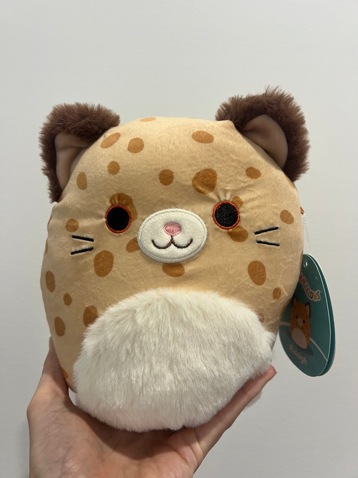 RAYLEIGH  - 7.5"  Squishmallow Plush