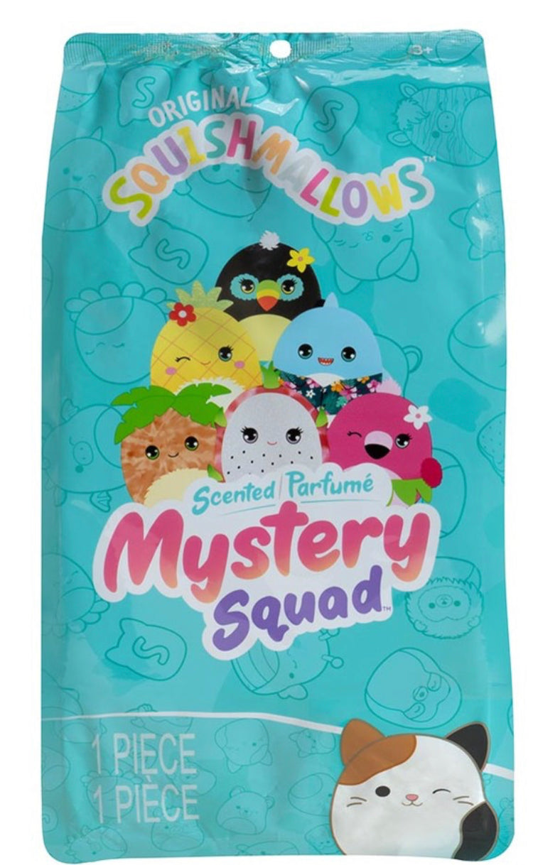 5" Scented Mystery Squad Squishmallows