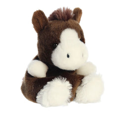 Palm Pal - 13cm Darius Clydesale